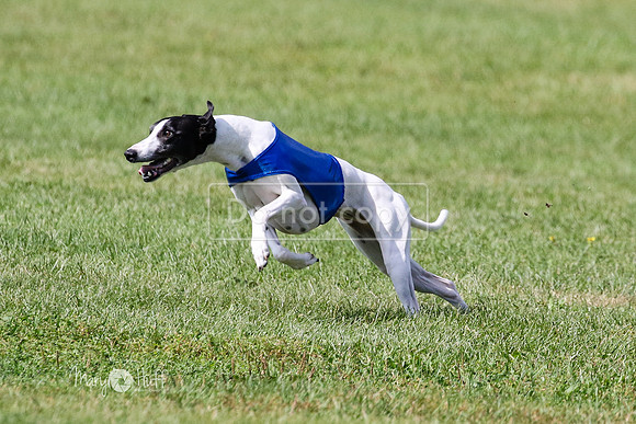 MCH72951 Ripples, Cookie, Pearl