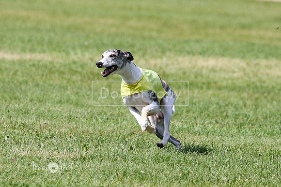 MCH72954 Ripples, Cookie, Pearl