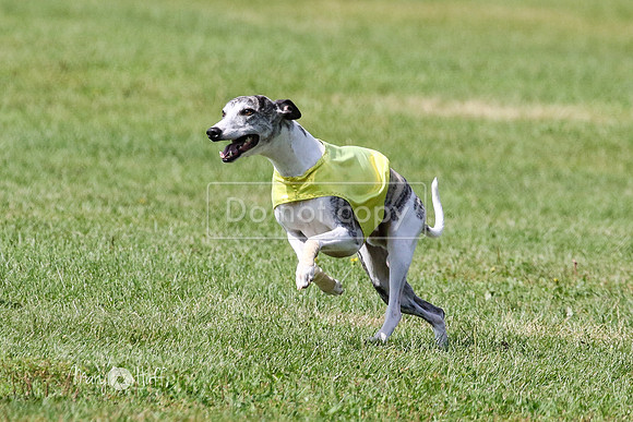 MCH72957 Ripples, Cookie, Pearl