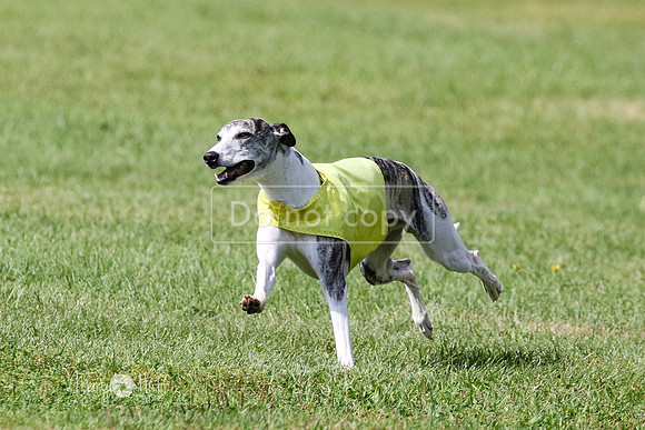 MCH72958 Ripples, Cookie, Pearl