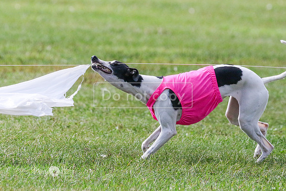 MCH72961 Ripples, Cookie, Pearl