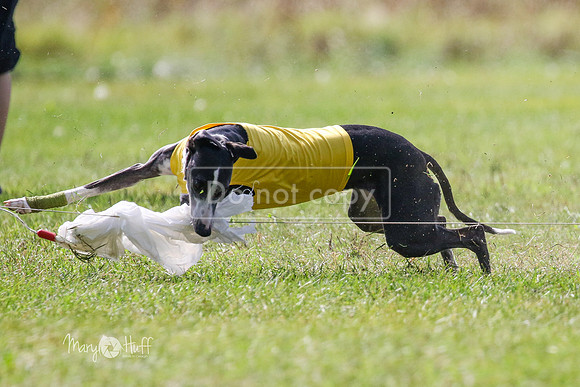 MCH73042  Winnie, Nelson, Ruthless