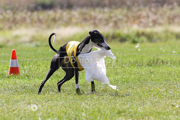 MCH73045  Winnie, Nelson, Ruthless
