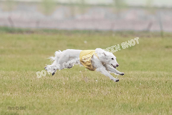 B Prelim Fch 1 Chyna Possum-0675