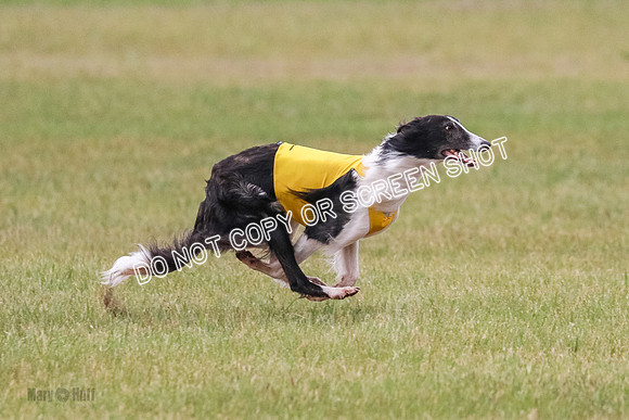 A Prelim Open 1 Phyn Kenai-0563