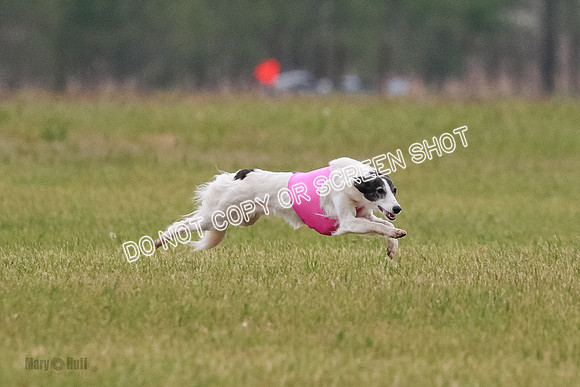 B Prelim Fch 2 Harley Grade A-0739