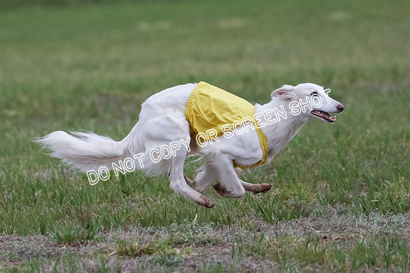 B Prelim Fch 1 Chyna Possum-0715