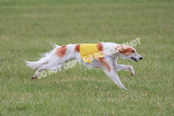 B Prelim Fch 2 Harley Grade A-0762