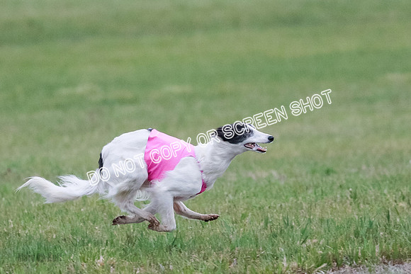 B Prelim Fch 2 Harley Grade A-0788