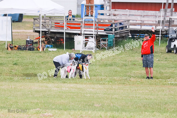 A Prelim Open 1 Phyn Kenai-0507