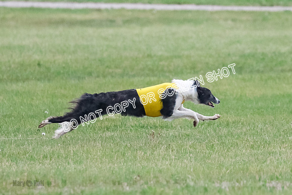 A Prelim Open 1 Phyn Kenai-0512