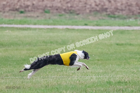 A Prelim Open 1 Phyn Kenai-0516