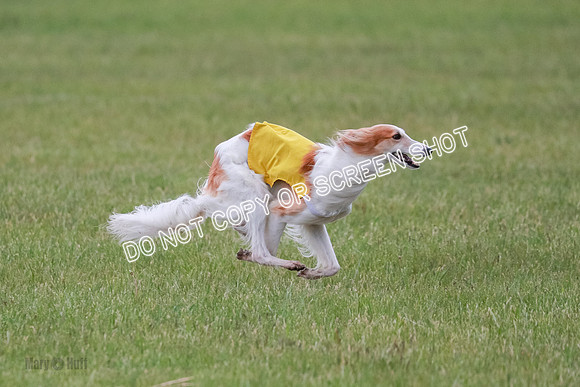 B Prelim Fch 2 Harley Grade A-0759