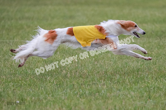 B Prelim Fch 2 Harley Grade A-0767