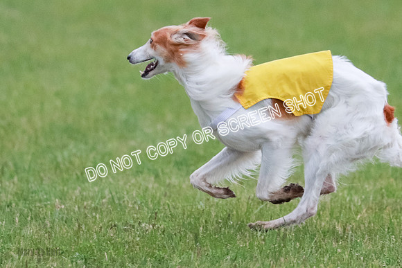 B Prelim Fch 2 Harley Grade A-0798