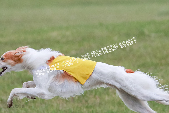 B Prelim Fch 2 Harley Grade A-0810