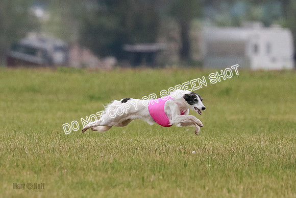 B Prelim Fch 2 Harley Grade A-0743