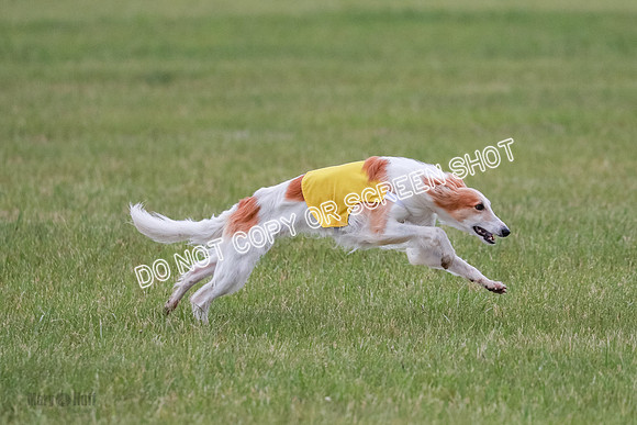B Prelim Fch 2 Harley Grade A-0756