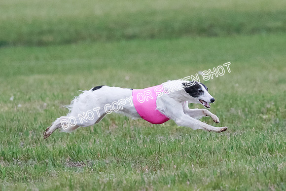 B Prelim Fch 2 Harley Grade A-0782