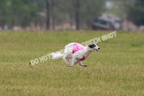 B Prelim Fch 2 Harley Grade A-0741