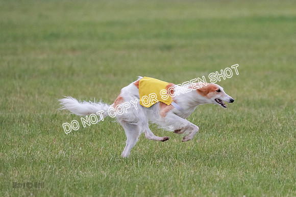 B Prelim Fch 2 Harley Grade A-0755