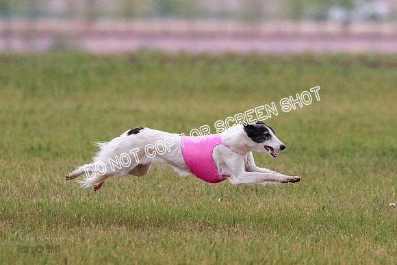 B Prelim Fch 2 Harley Grade A-0751