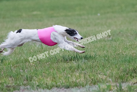 B Prelim Fch 2 Harley Grade A-0786