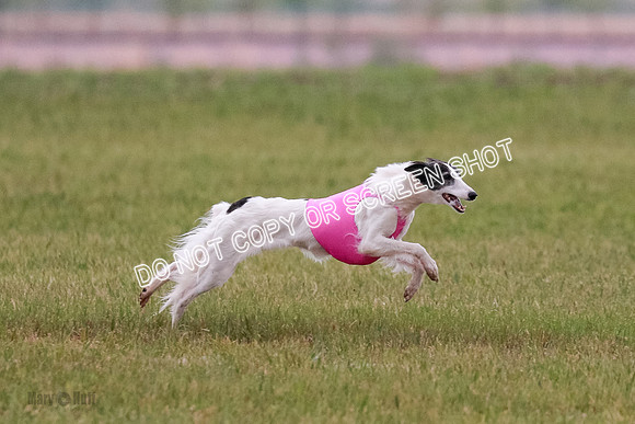 B Prelim Fch 2 Harley Grade A-0750