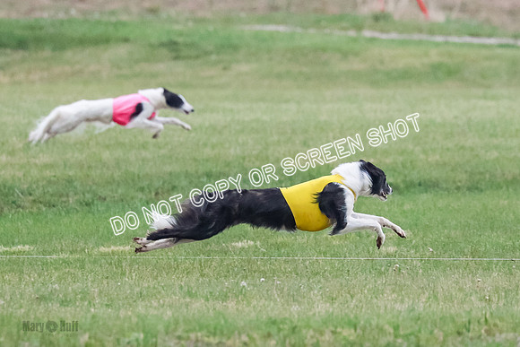 A Prelim Open 1 Phyn Kenai-0508