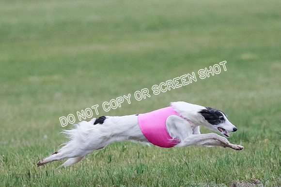 B Prelim Fch 2 Harley Grade A-0790
