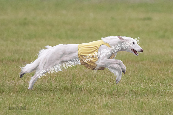 B Prelim Fch 1 Chyna Possum-0687