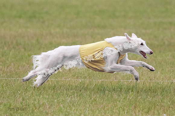 B Prelim Fch 1 Chyna Possum-0693