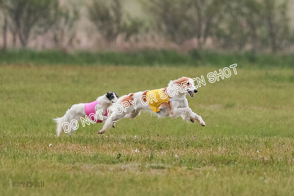 B Prelim Fch 2 Harley Grade A-0734