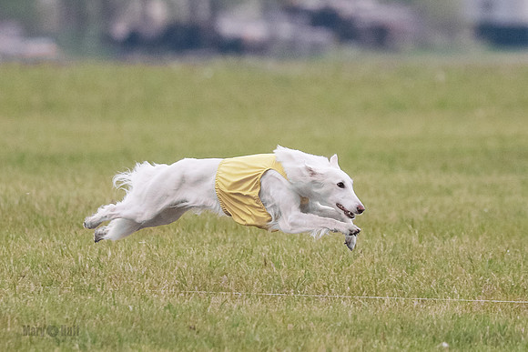 B Prelim Fch 1 Chyna Possum-0679