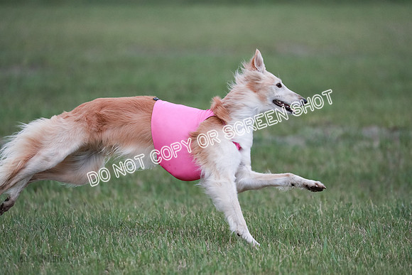 B Prelim Fch 1 Chyna Possum-0719