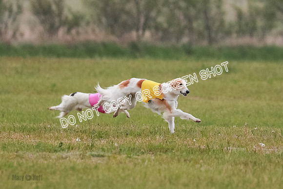 B Prelim Fch 2 Harley Grade A-0735