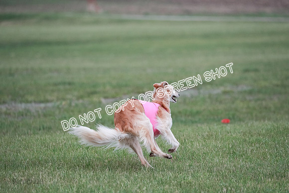 B Prelim Fch 1 Chyna Possum-0727