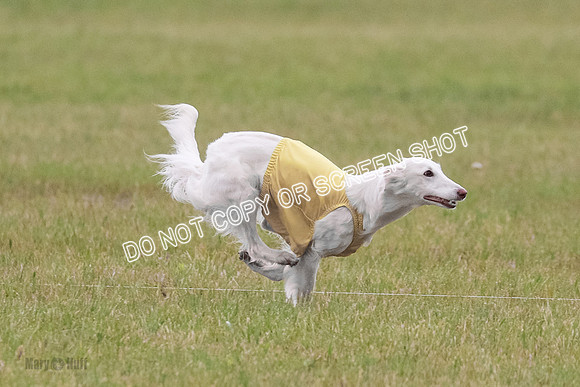 B Prelim Fch 1 Chyna Possum-0690