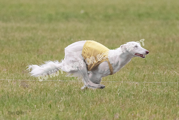 B Prelim Fch 1 Chyna Possum-0691