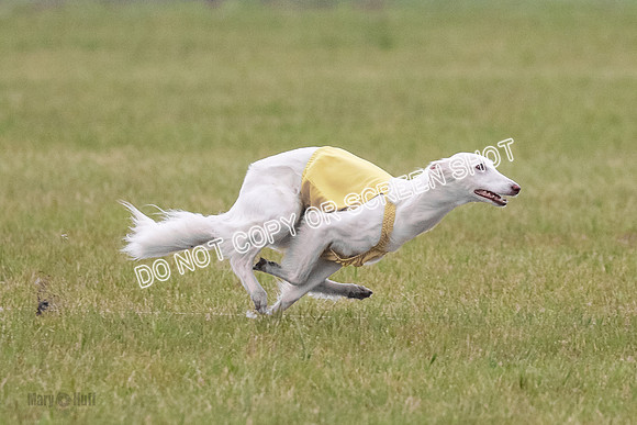 B Prelim Fch 1 Chyna Possum-0685