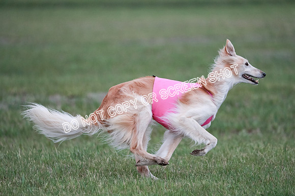 B Prelim Fch 1 Chyna Possum-0722
