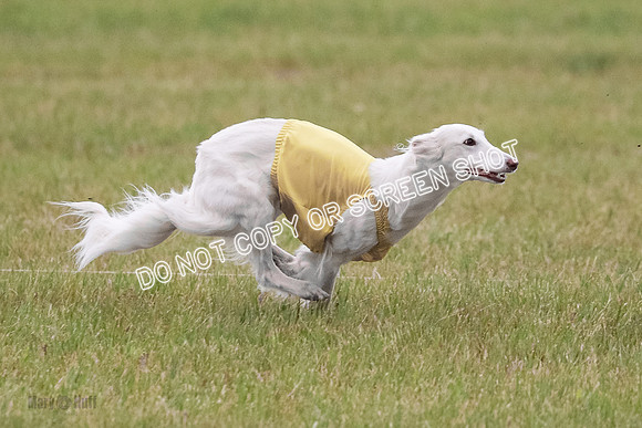 B Prelim Fch 1 Chyna Possum-0695