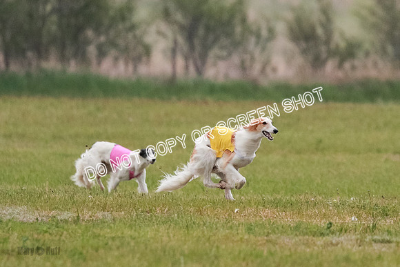 B Prelim Fch 2 Harley Grade A-0732
