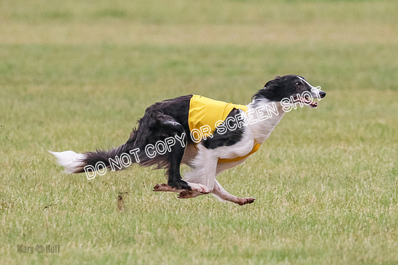 A Prelim Open 1 Phyn Kenai-0568