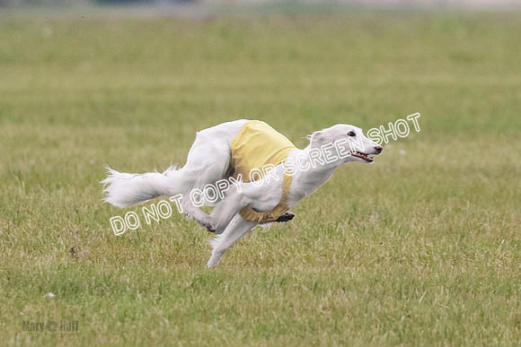 B Prelim Fch 1 Chyna Possum-0681