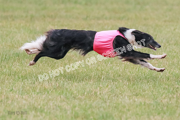 A Prelim Open 2 Camper Saucy-0621