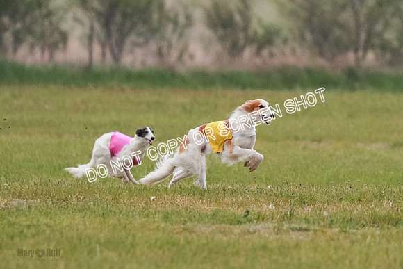 B Prelim Fch 2 Harley Grade A-0733