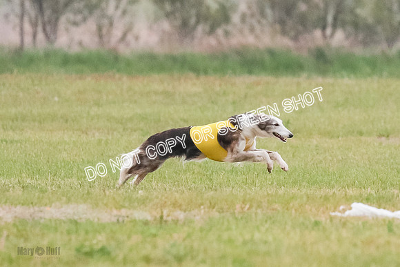 A Prelim Open 2 Camper Saucy-0583