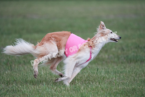 B Prelim Fch 1 Chyna Possum-0721