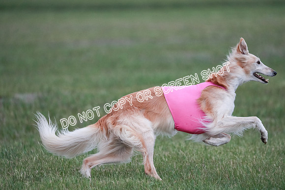 B Prelim Fch 1 Chyna Possum-0723